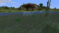 Lilypads in a swamp biome