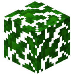 Mushroom Fields