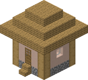 Plains Small House 2