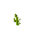Stem Age 5 JE1.png