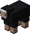 Black Sheep.png