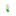 Oxeye Daisy JE7 BE2.png