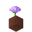 Potted Allium UNKVER2 (facing NWU).png