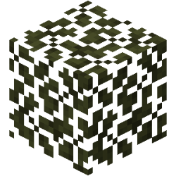 Swamp