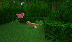 Chicken – Minecraft Wiki