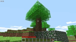 An oak tree that generated on top of an Indev House in Indev 0.31 20100201-2.