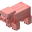 Pig (Dungeons)