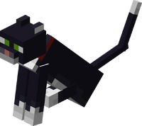 Chat Le Minecraft Wiki Officiel