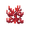 Fire Coral.png