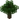 Oak JE9