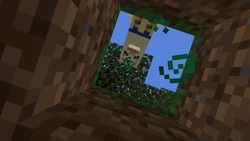 A llama stares at a player stuck in a hole.