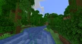 A river intersecting two jungle biomes.