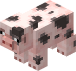 Spotted Pig.png
