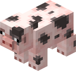 Spotted Pig