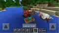 Image of the completed Bedrock Edition boats, tweeted by Tommaso Checchi.