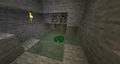 A lily pad generated in cave under a swamp biome.