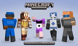 Skin Pack Official Minecraft Wiki Well, this is a gift to my boyfriend, whos obsessed with this game. skin pack official minecraft wiki