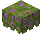 Flowering Azalea JE1