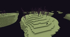 End (Biome Part)