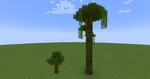 Jungle Trees