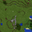 V1.2.0.2 panorama 5.png