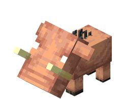 Hoglin piglet