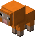 Baby Orange Sheep BE.png