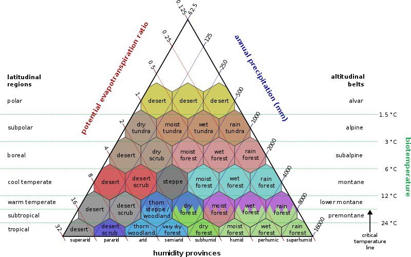 File:RuinsBiome.png - Mine Blocks Wiki