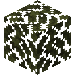 Swamp