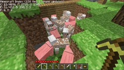 Indev 20100211 Animals