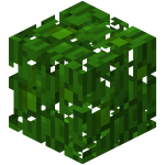 Jungle Leaves BE4.png