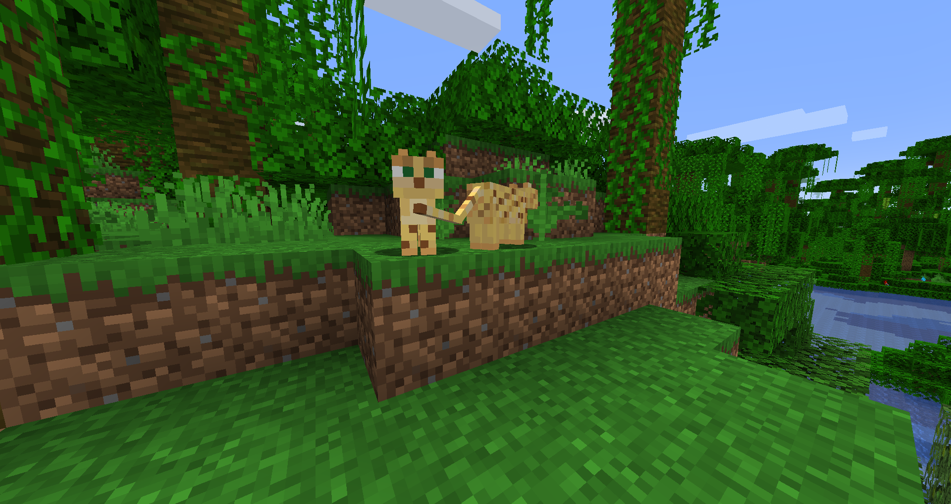 Ocelot – Minecraft Wiki