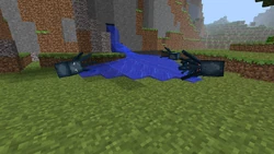 Another water spring squid.