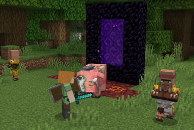 Ender Update for Minecraft 1.16.2