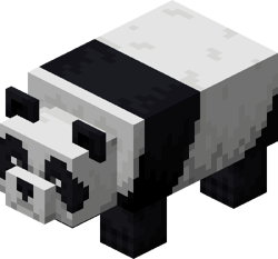 A panda.