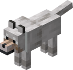 Tamed Wolf with White Collar