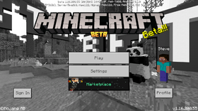 Bedrock 1.16.200.55