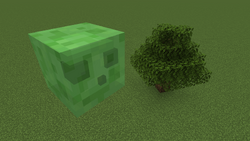 Slime Minecraft Wiki