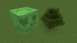 Slime, Minecraft: Xbox 360 Edition Wiki