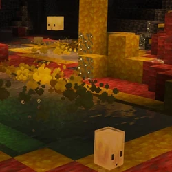 Sulfur Cube