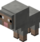 Baby Light Gray Sheep BE4