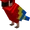 Parrot