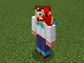 Red Parrot on Party Steve.png