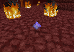 The nether star dropped by the wither.