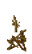 Pumpkin Stem Age 14 JE6.png