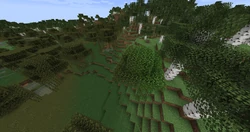 A tree grown between two biomes.