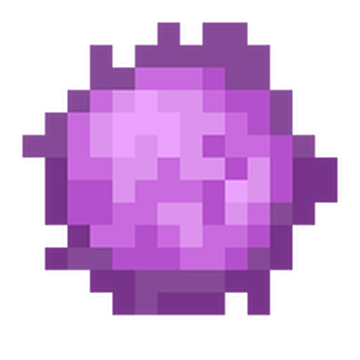 Ender Dragon Boy