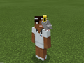 Gray Parrot on Tennis Alex.png