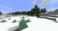 Snowy Taiga biome.