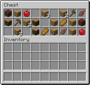 Minecraft Inventory Slots